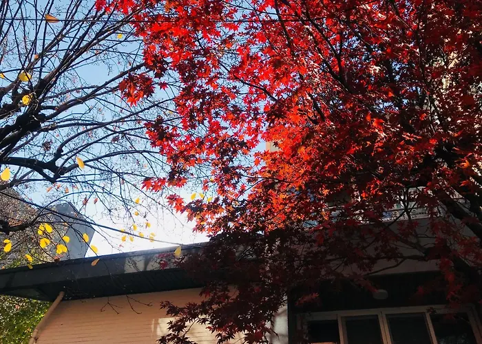 Naru ソウル特別市