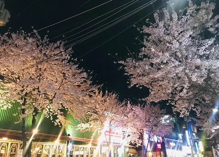 Naru 5* ソウル特別市